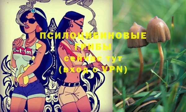 спайс Семилуки