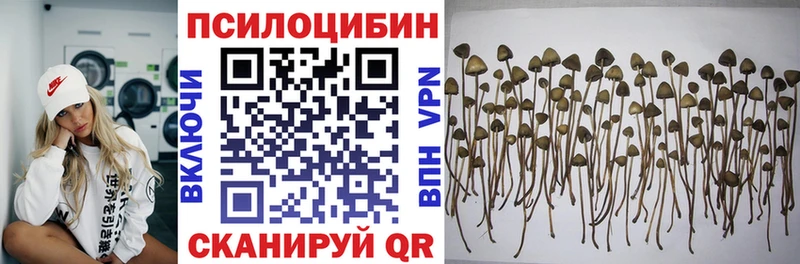 Псилоцибиновые грибы MAGIC MUSHROOMS  Щучье 